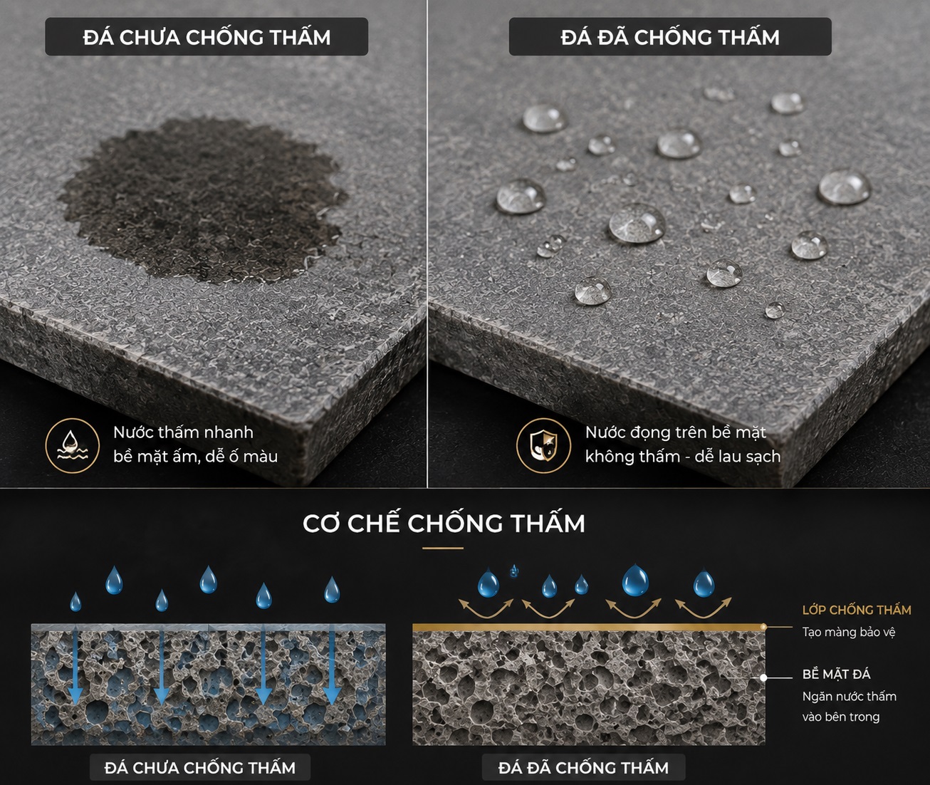 Mô phỏng cơ chế chống thấm đá